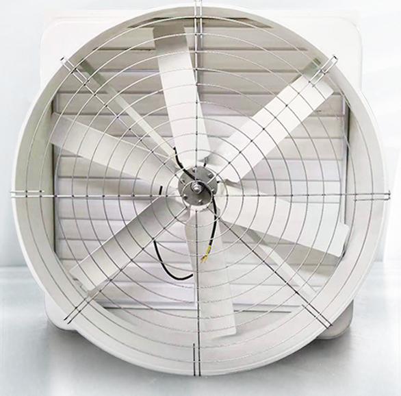 Large exhaust fan