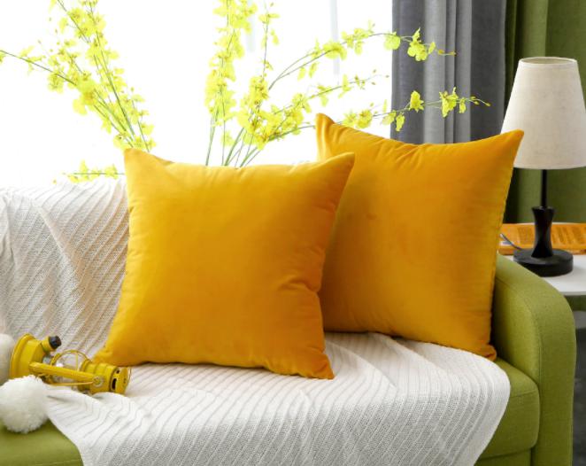 Cushion Cover-Velvet，55*55cm