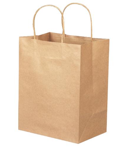 Paper Bag，21*11*27cm