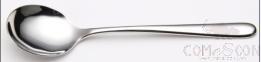 Soup Spoon  Customized LOGO,190mm,stainless steel 304