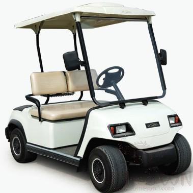 Golf Cart -2 seat -48V /4KW-(80-90)km  Buggy