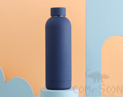 Vacuum S/S Water Bottle 500ml