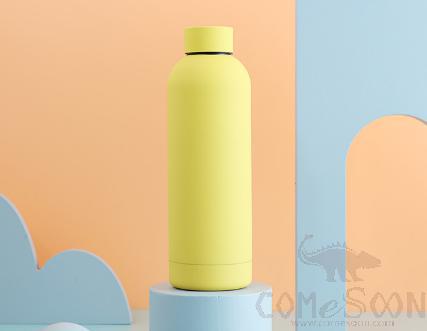 Vacuum S/S Water Bottle 500ml