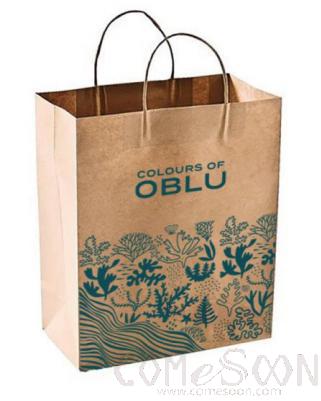 Kraft Carrying Bag M-SIZED  W/LOGO，20*10*25cm