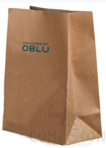 Kraft Food Bag S-sized W/ simple LOGO，L200*W125*H300mm