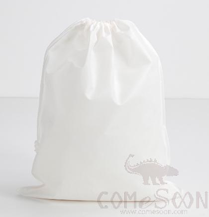 Slipper Bag, Non-Woven, 25*30Cm