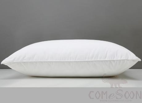 Pillow，Polyester，50(W)*70(L) cm
