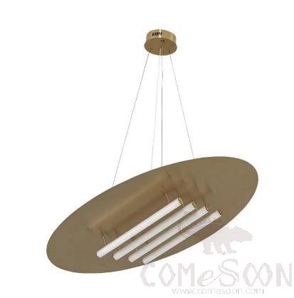 Small Pendant Light, Titanium Stainless Steel, Diameter 600Mm