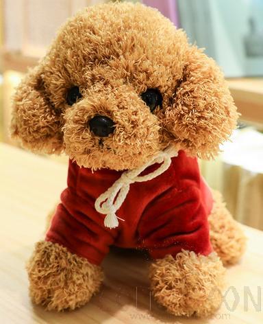 Teddy Plush Toy,25cm