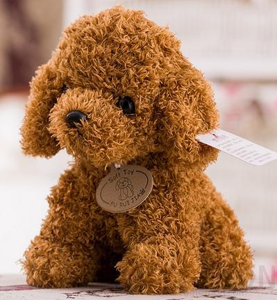 Teddy Plush Toy,25cm