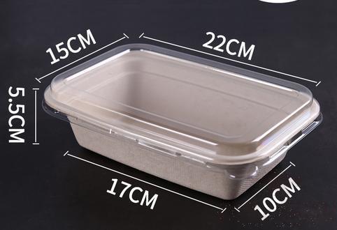 Disposable Biodegradable Pulp Lunch Box,Single Compartment,1000ml