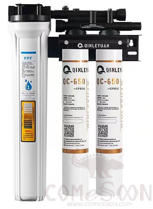 QLY-QC750 Twin Water Purifier