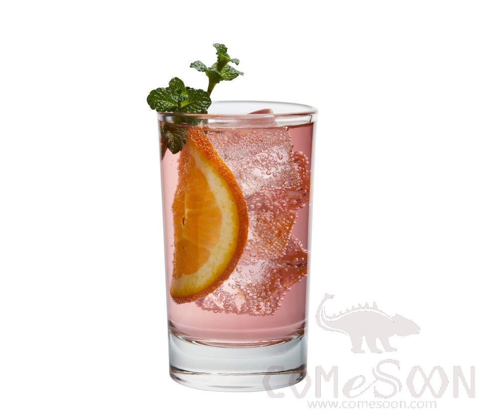 LIBBEY Nonita Series Juice Glass 155mL