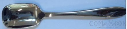 STJOY Series-Ice Cream Spoon,140mm,stainless steel 304