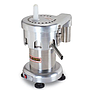 Melon & Fruit Juicer