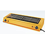 Electric Roaster