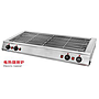 Electric Roaster