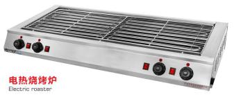 Electric Roaster