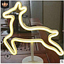 LED neon battery + usb dual purpose