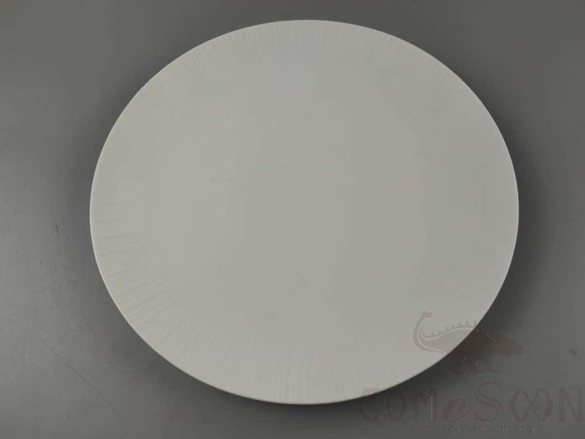 G099 Series 10&quot; Round Plate