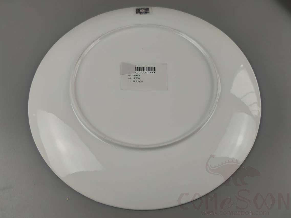 G099 Series 10&quot; Round Plate