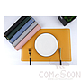 Placemat With Gold Border，PU ，L30*W45 CM