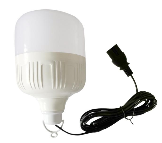 LED bulb10W