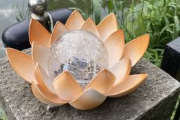 Solar garden light