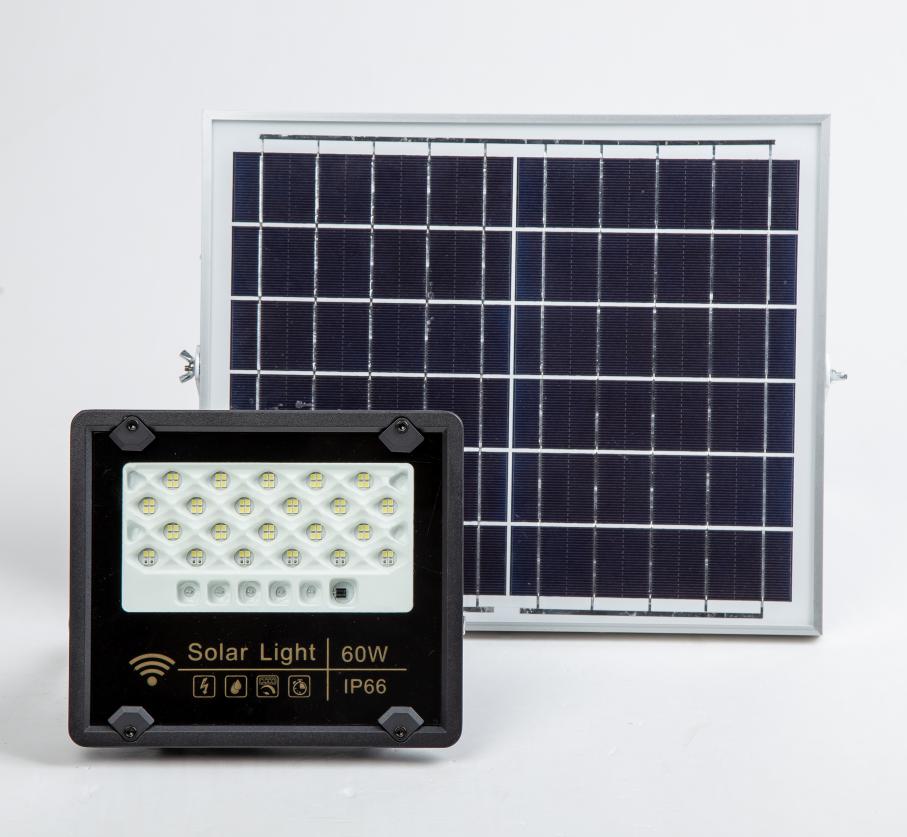 Sport light8W