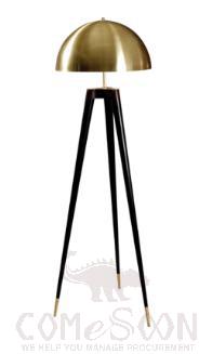 Floor lamp-electroplating lampshade