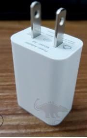 Plug