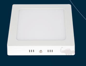 Downlight-white light-12w