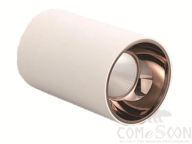 White shell downlight-white cup 6000k-5w