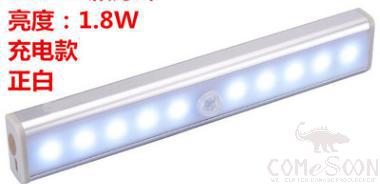 Cabinet Lights