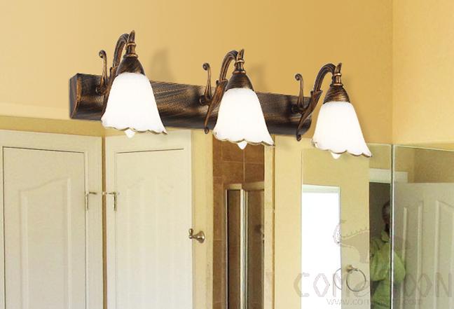 Mirror Light-9W-46CM