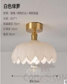 Ceiling light-D25cm