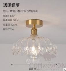 Ceiling light-D25cm