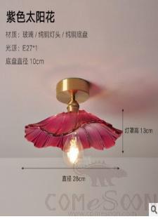 Ceiling light-D28cm
