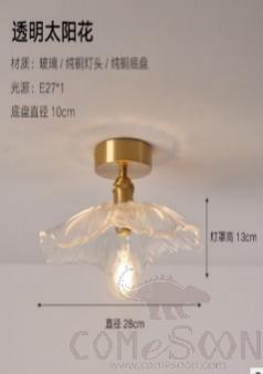 Ceiling light-D28*H13cm