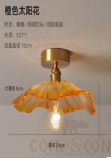 Ceiling light-D28*H13cm