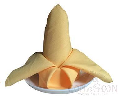 Cloth Napkins-Beige