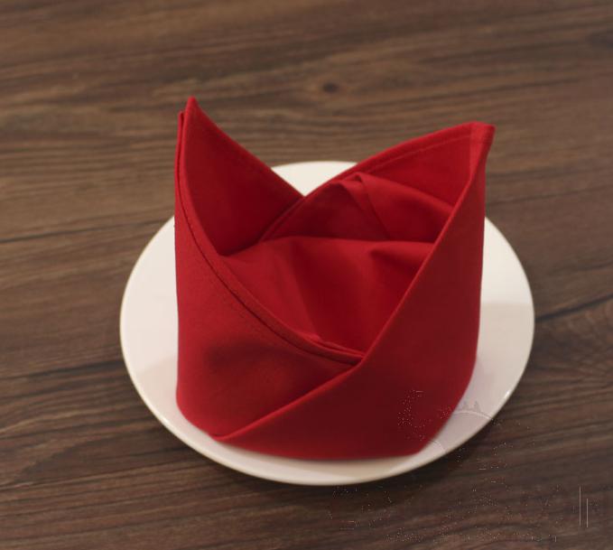 Cloth Napkins-Red