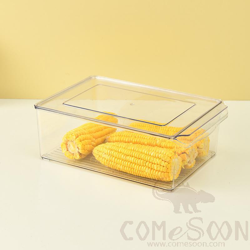 Food Storage Tray-
L30*W20*H10.5 CM,Pet