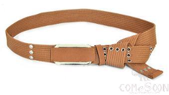 Belt-Canvas + metal