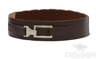 Belt-imitation leather, metal