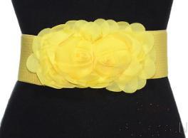 Belt-elastic band, woven fabric