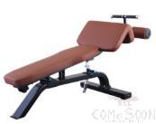 Adjustable Decline Bench