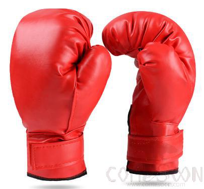 Boxing Gloves - Adult