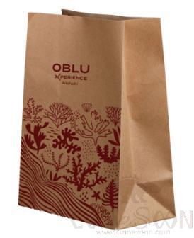 Kraft Food Bag W/LOGO，L200*W125*H300