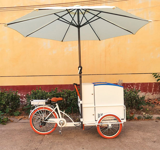 Small ice cream truck - with removable refrigerator - manpower